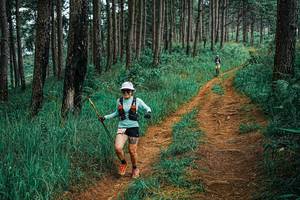 BIB: 
                            <button type="button" onclick="openModal(25653865)" class="btn btn-primary btn-sm float-right btn-popup" data-toggle="modal" data-target=".modal-high-quality">
                        <i class="fas fa-shopping-cart"></i> Add to Cart
                    </button>
                                            <button type="button" onclick="isThisMe(25653865, true)" class="btn btn-success btn-sm float-right btn-popup btn-isme hidden" data-toggle="tooltip" data-placement="bottom" title="นี่คือรูปของคุณใช่ไหม คลิกที่นี่เพื่อเอาเข้าอัลบั้ม">
                        <i class="fas fa-plus"></i> Add to album
                    </button>
                    <button type="button" onclick="isThisMe(25653865, false)" class="btn btn-warning btn-sm float-right btn-popup btn-isnotme hidden">
                        <i class="fas fa-ban"></i> Remove from album
                    </button>